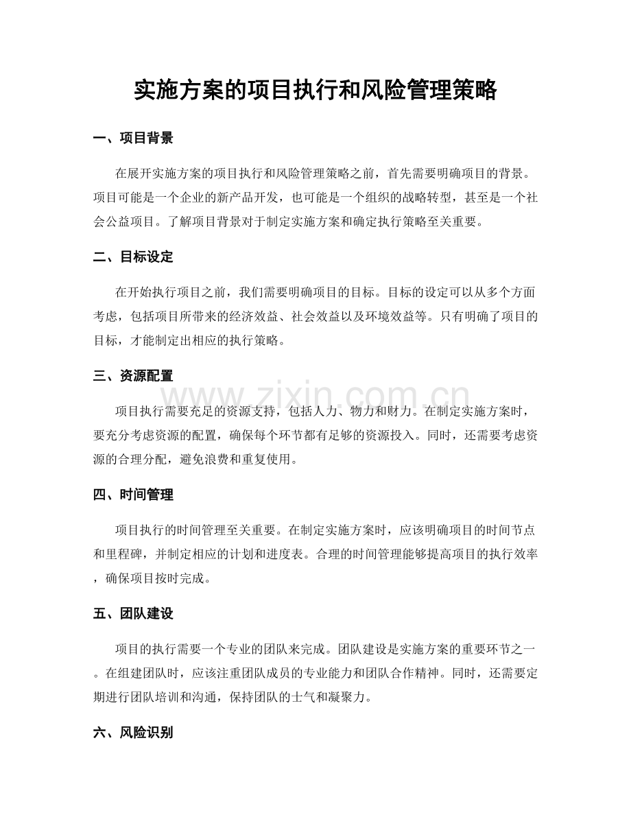 实施方案的项目执行和风险管理策略.docx_第1页