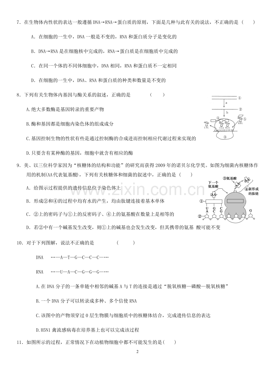 高中生物必修二第四章测试题.doc_第2页