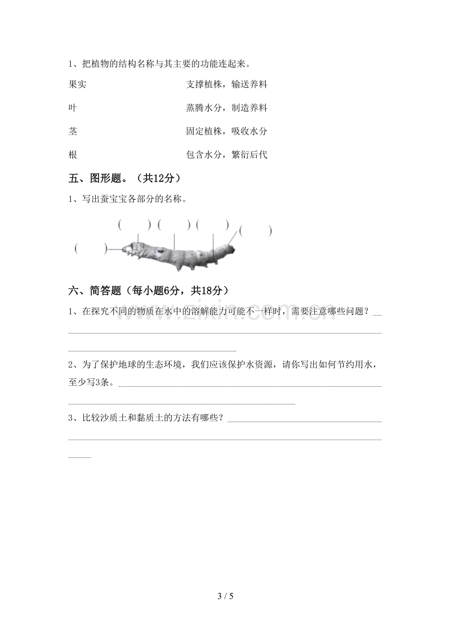 人教版三年级科学上册期末试卷及答案.doc_第3页