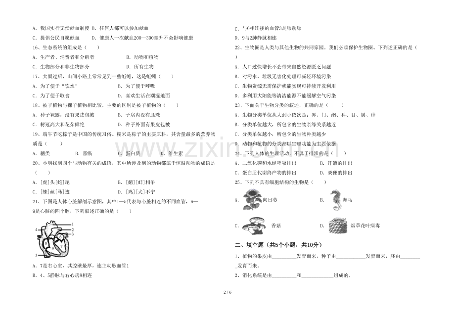 七年级生物上册期末考试题及答案.doc_第2页