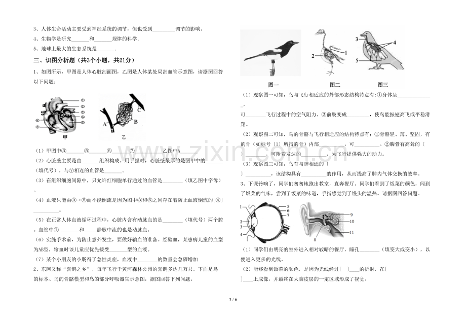 七年级生物上册期末考试题及答案.doc_第3页