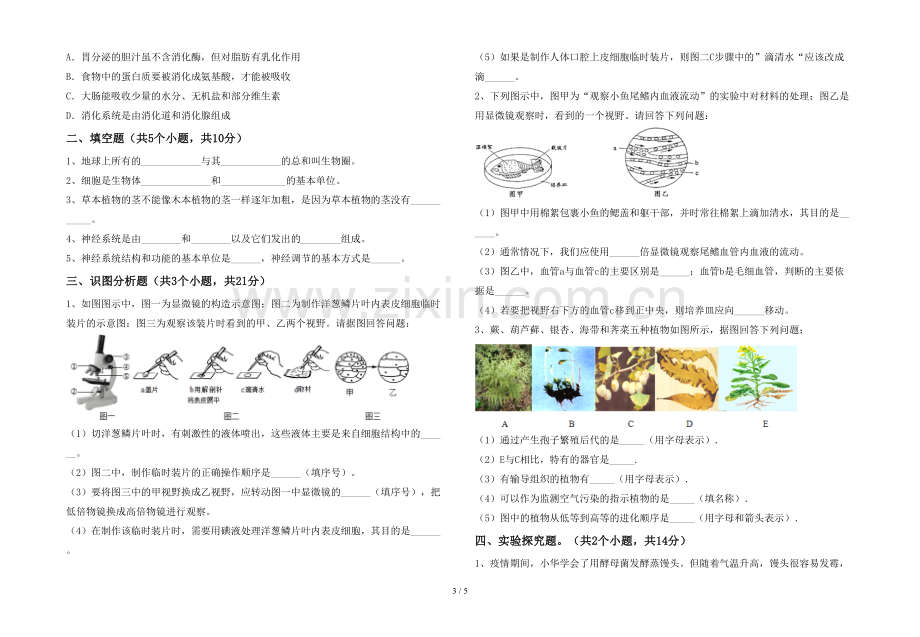 苏教版七年级《生物》上册期末试卷(带答案).doc_第3页