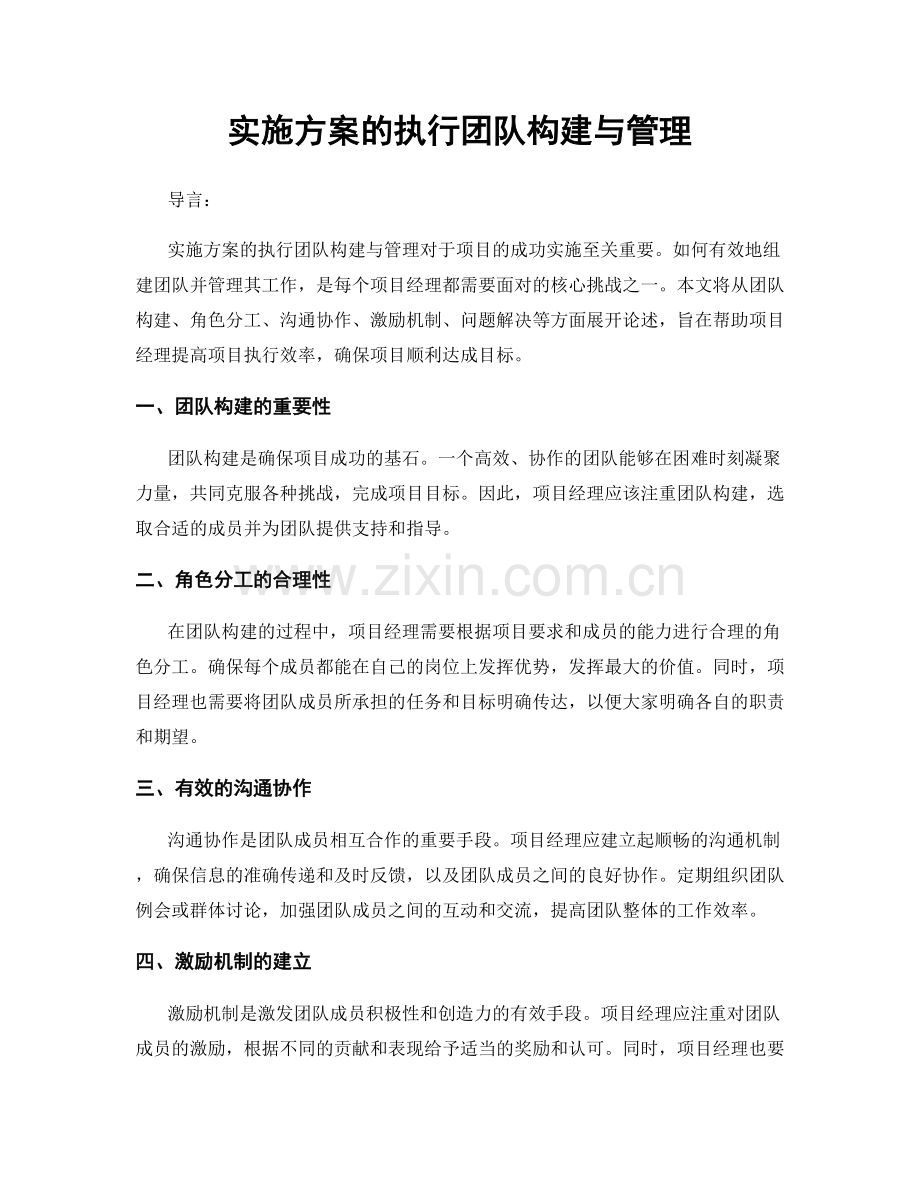 实施方案的执行团队构建与管理.docx_第1页