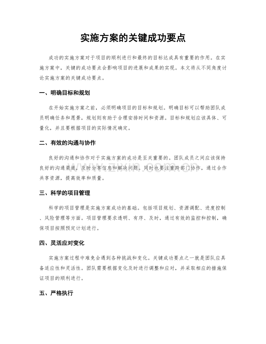 实施方案的关键成功要点.docx_第1页