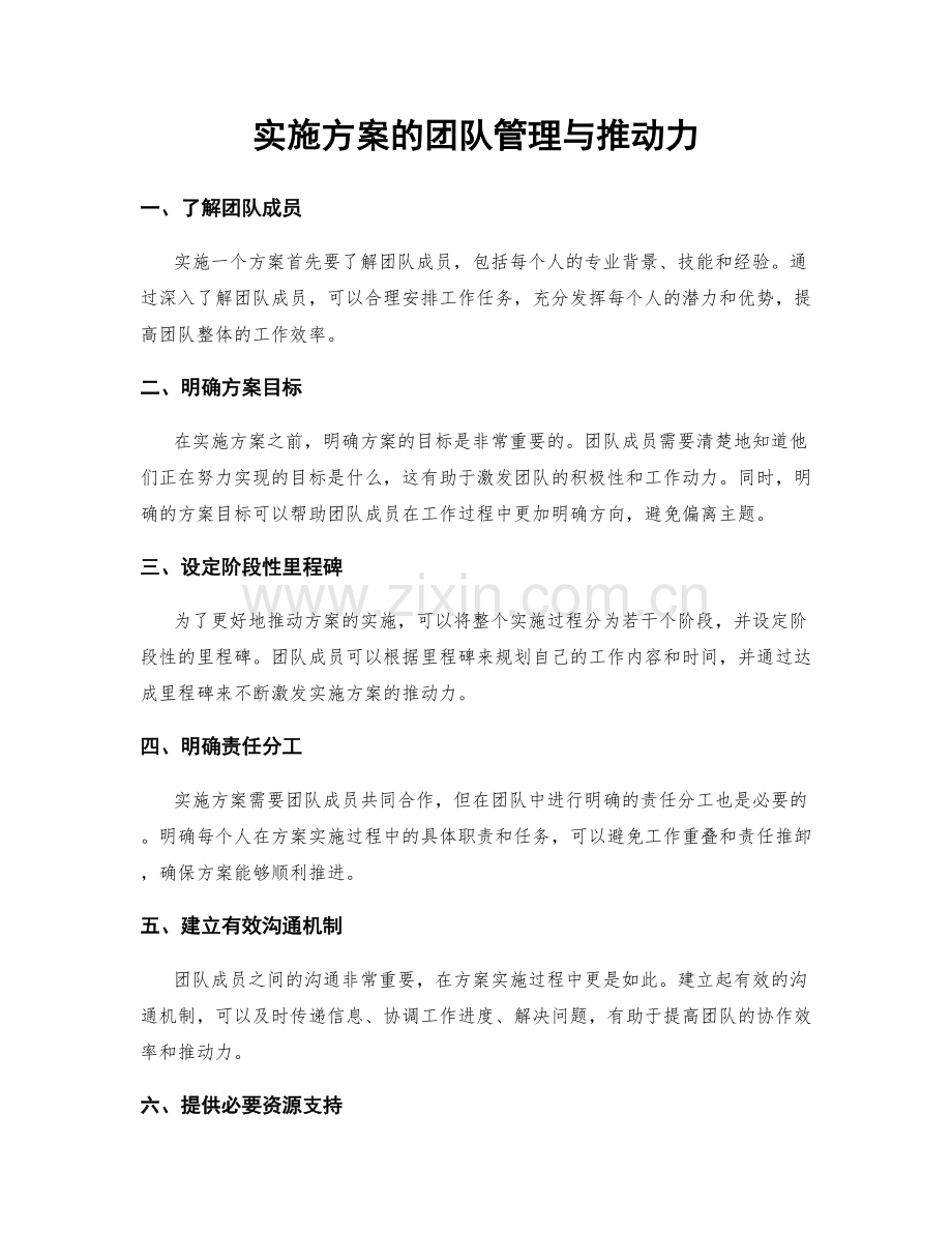 实施方案的团队管理与推动力.docx_第1页