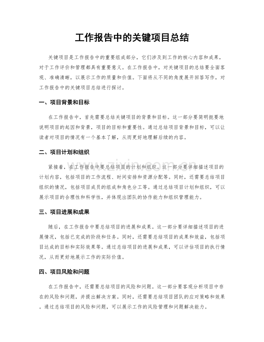 工作报告中的关键项目总结.docx_第1页