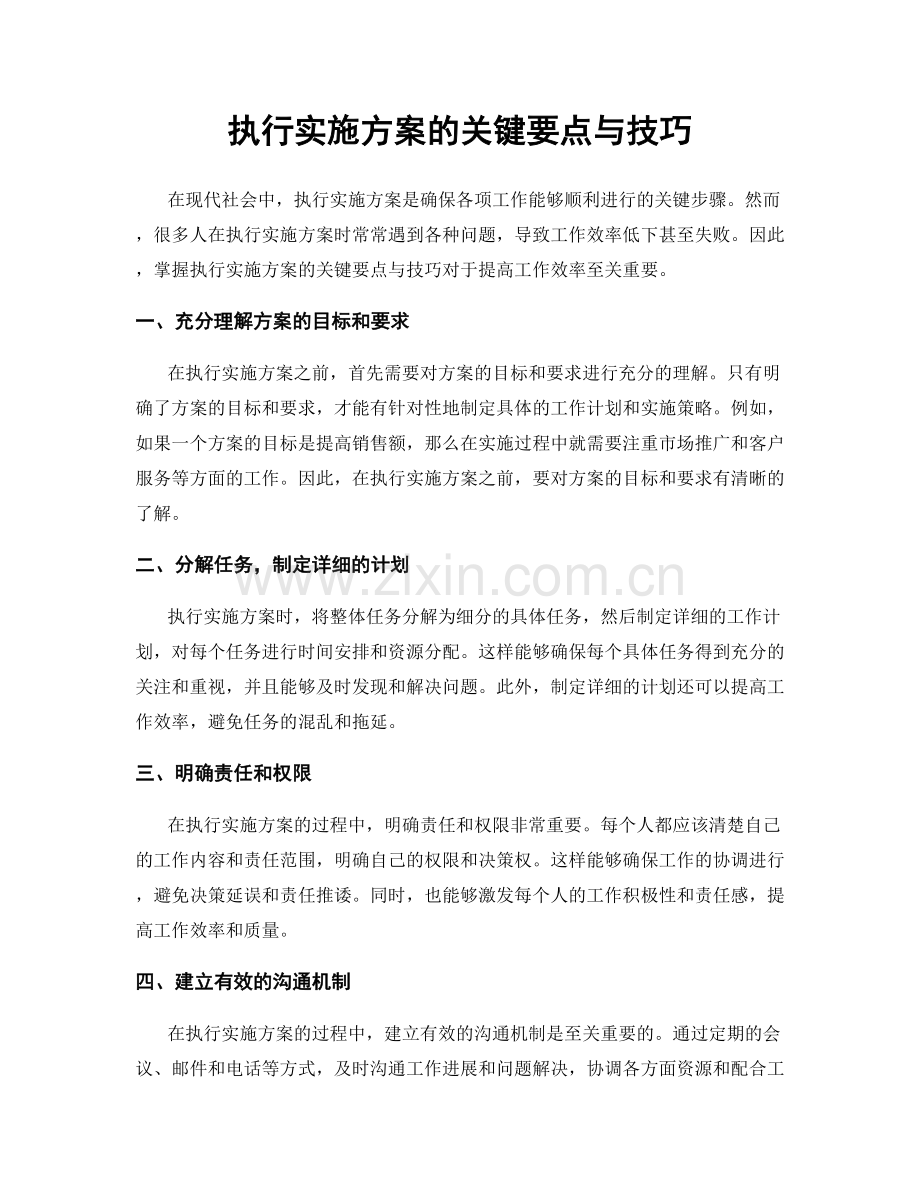 执行实施方案的关键要点与技巧.docx_第1页