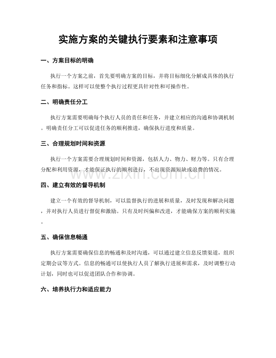 实施方案的关键执行要素和注意事项.docx_第1页