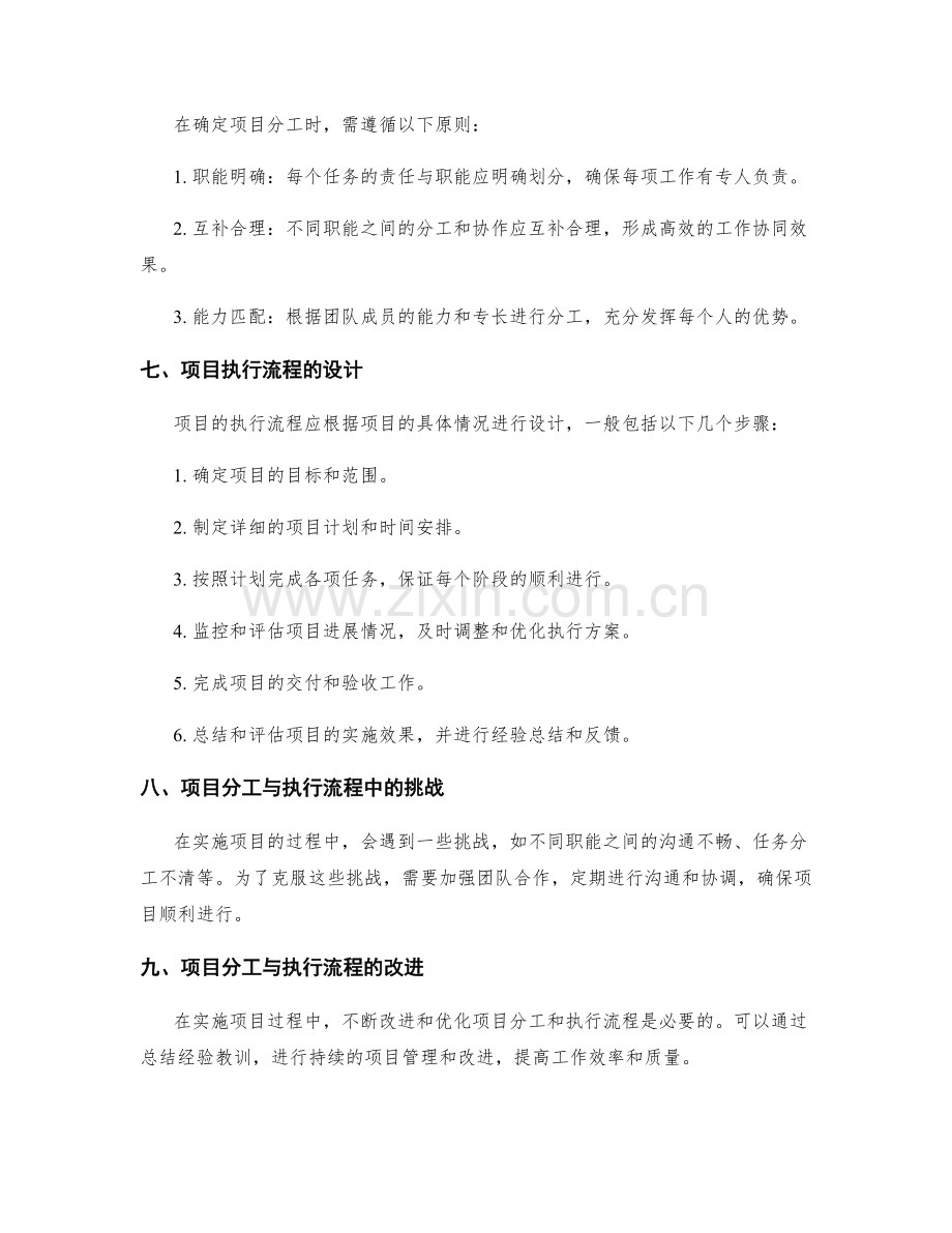 实施方案的项目分工与执行流程.docx_第2页