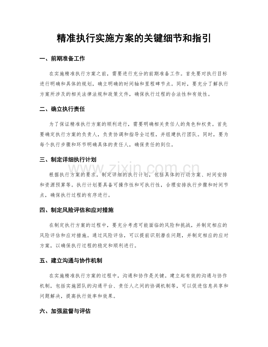 精准执行实施方案的关键细节和指引.docx_第1页