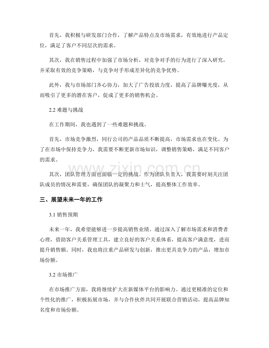 年终总结的业绩分析和展望设想.docx_第2页