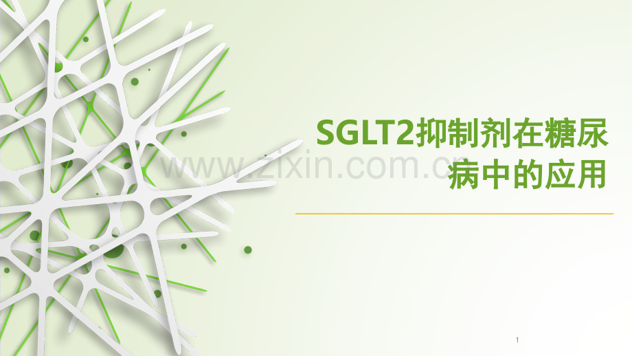 SGLT2抑制剂在糖尿病中的应用ppt课件.pptx_第1页