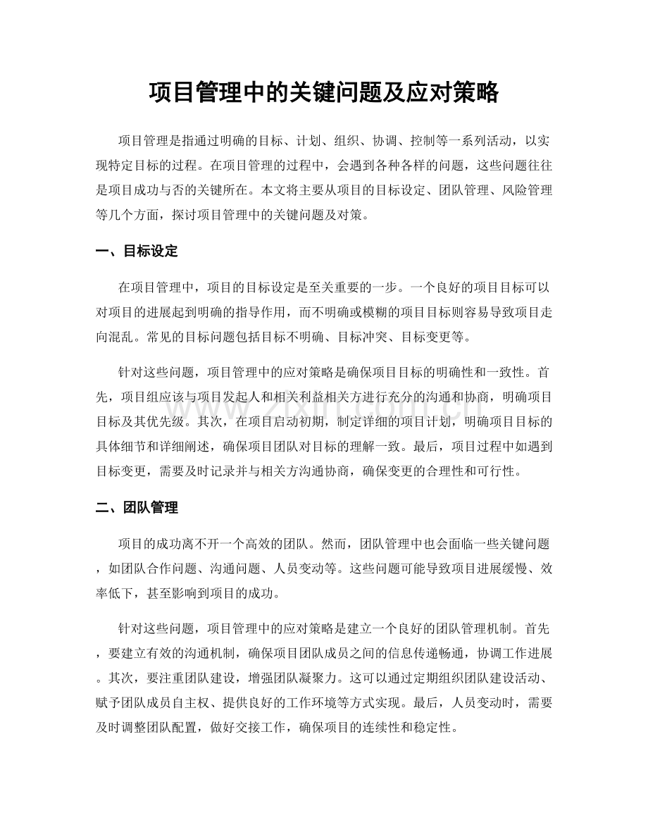 项目管理中的关键问题及应对策略.docx_第1页