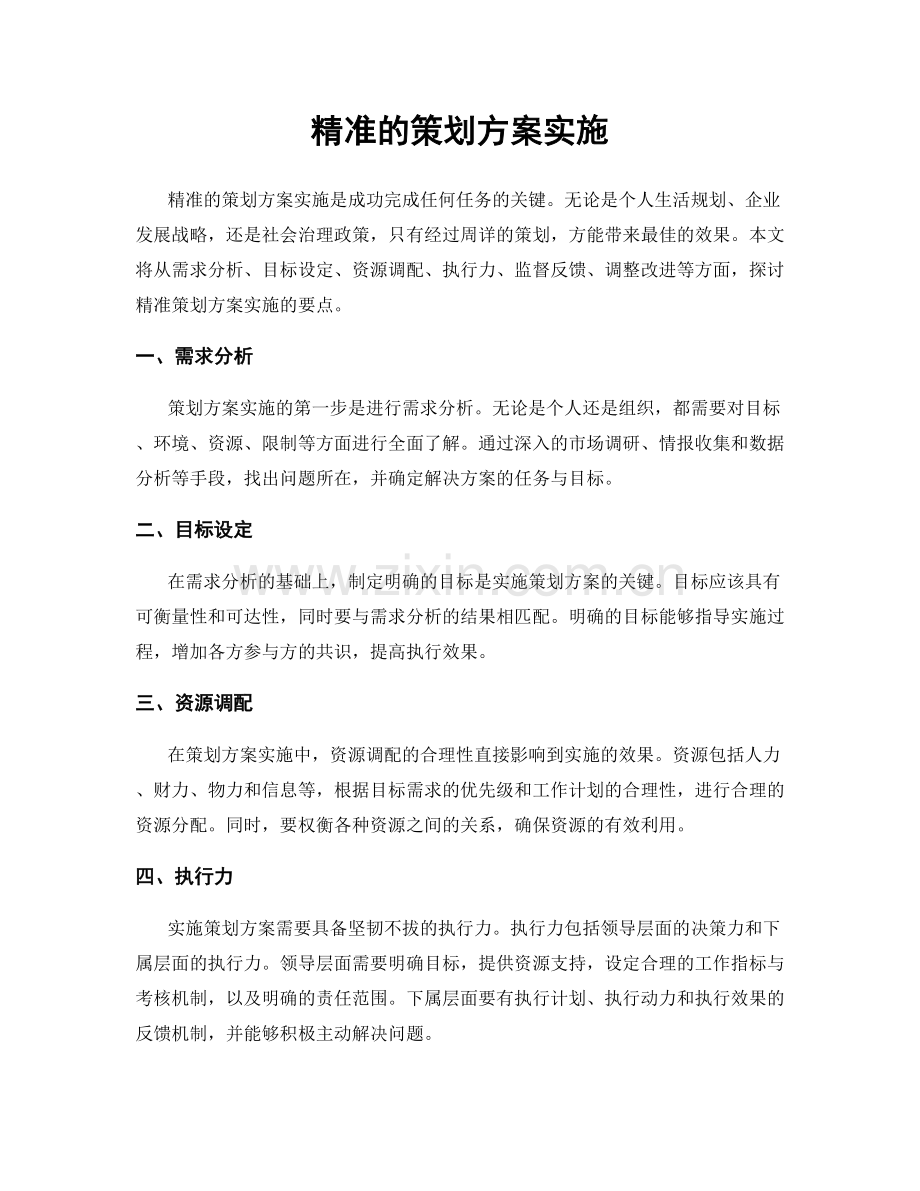 精准的策划方案实施.docx_第1页