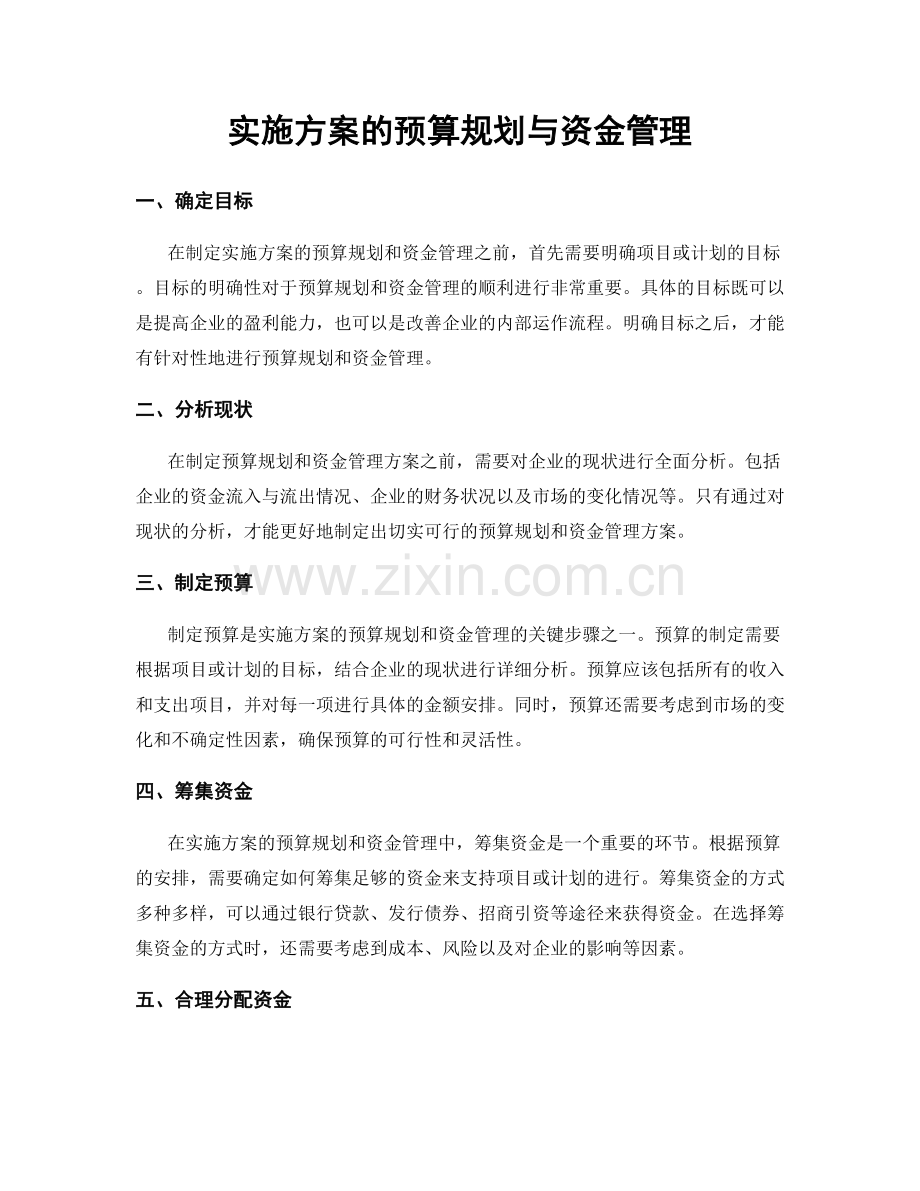 实施方案的预算规划与资金管理.docx_第1页