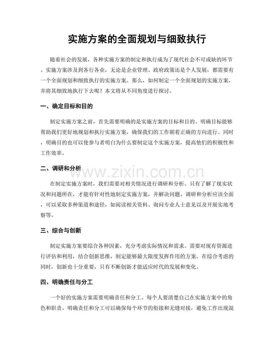 实施方案的全面规划与细致执行.docx_第1页