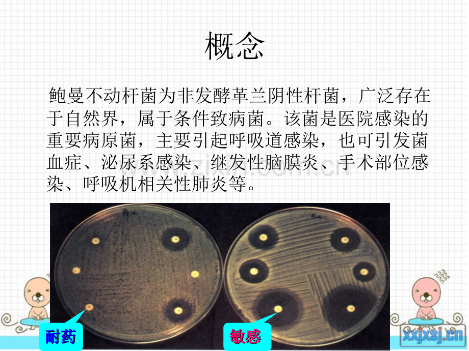 鲍曼不动杆菌患者护理.ppt_第2页