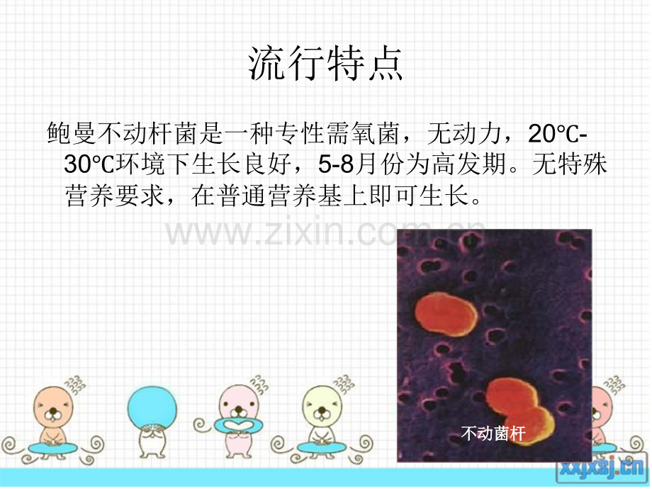 鲍曼不动杆菌患者护理.ppt_第3页