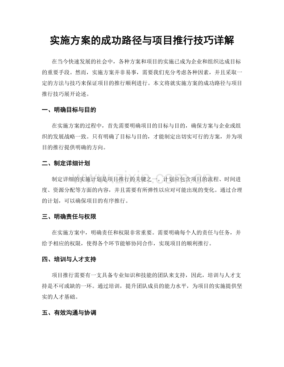 实施方案的成功路径与项目推行技巧详解.docx_第1页