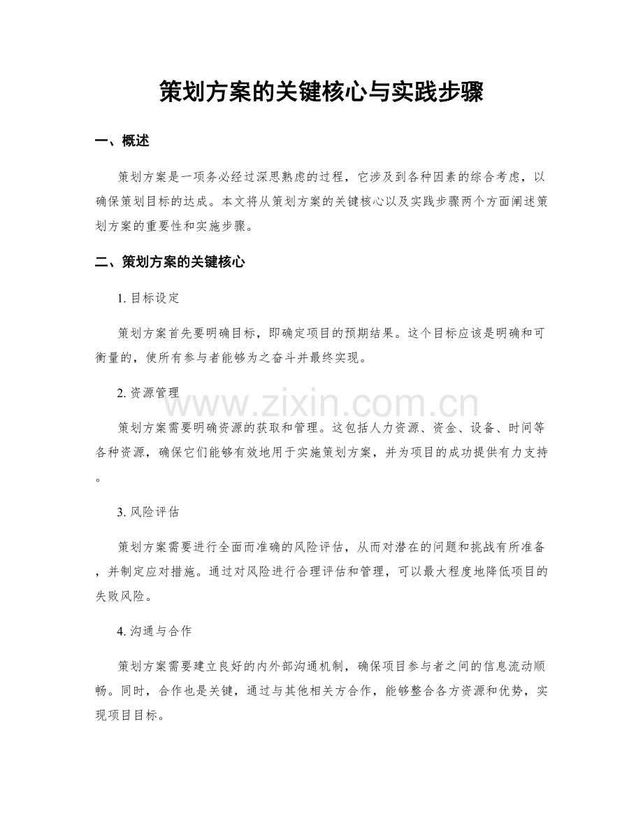 策划方案的关键核心与实践步骤.docx_第1页