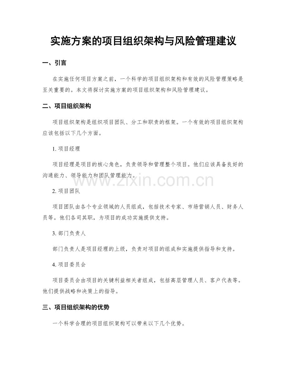 实施方案的项目组织架构与风险管理建议.docx_第1页