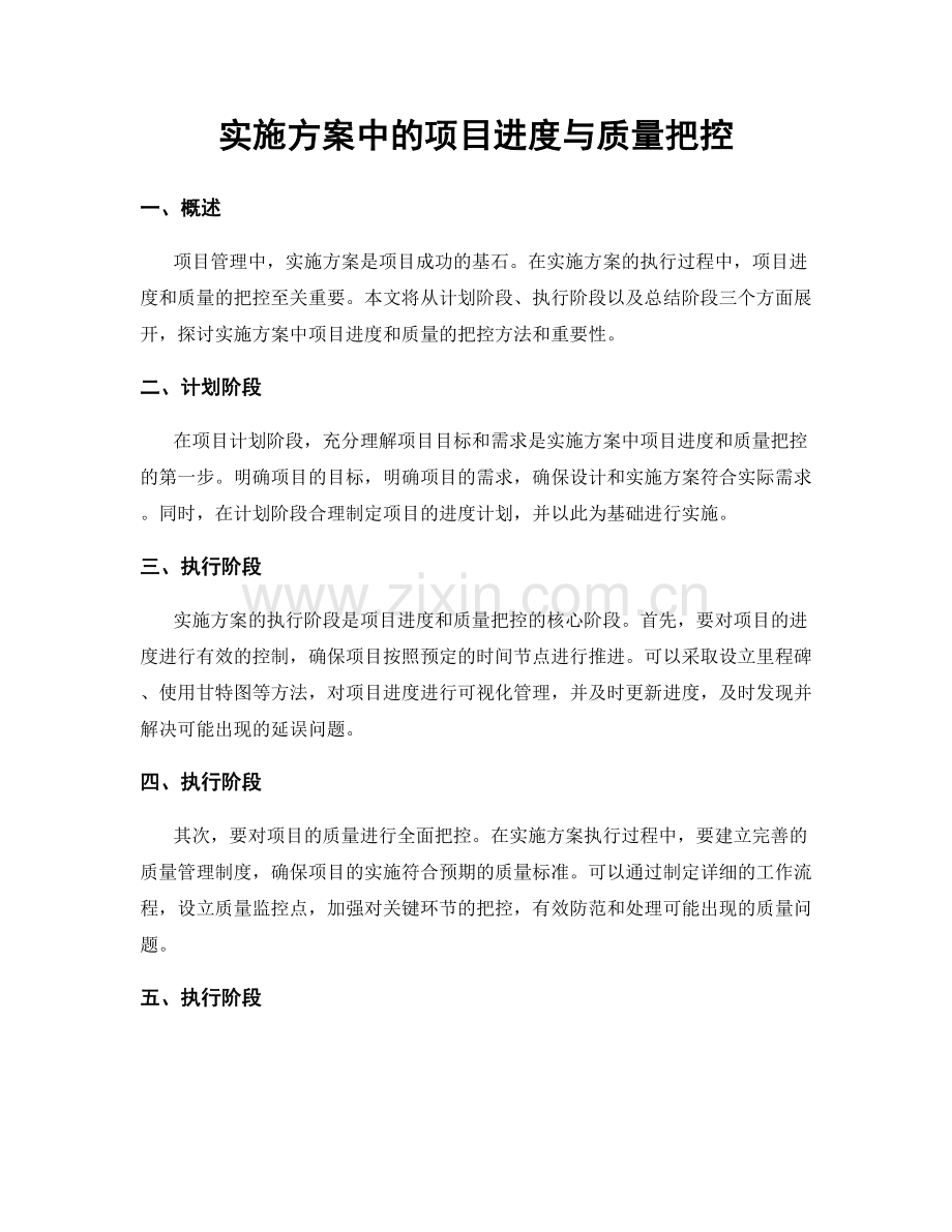 实施方案中的项目进度与质量把控.docx_第1页