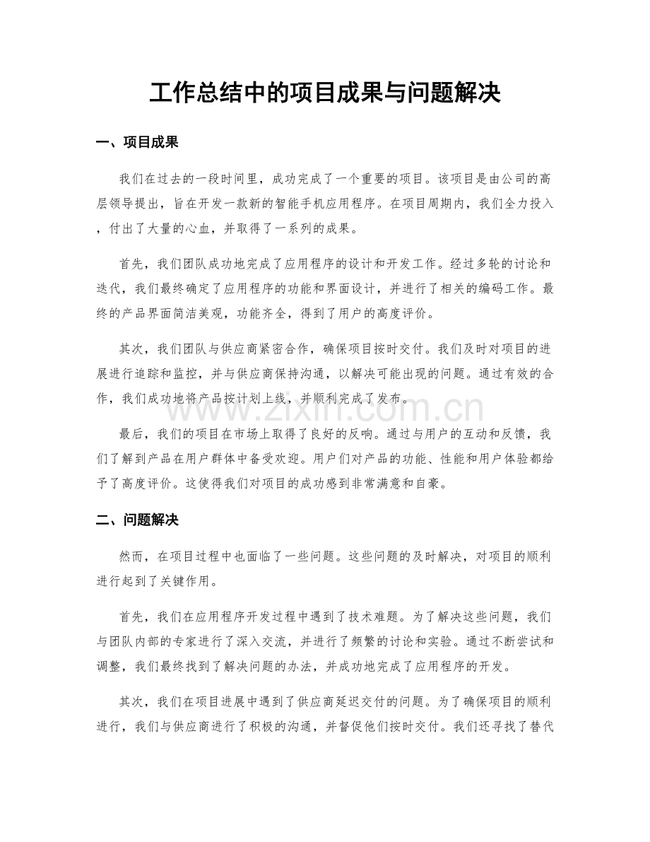 工作总结中的项目成果与问题解决.docx_第1页