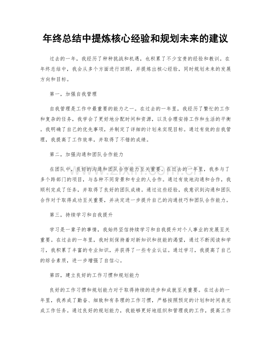 年终总结中提炼核心经验和规划未来的建议.docx_第1页