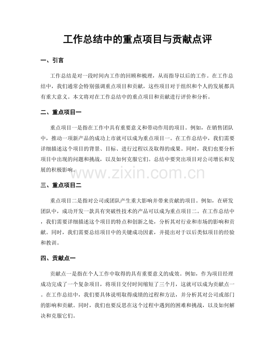 工作总结中的重点项目与贡献点评.docx_第1页