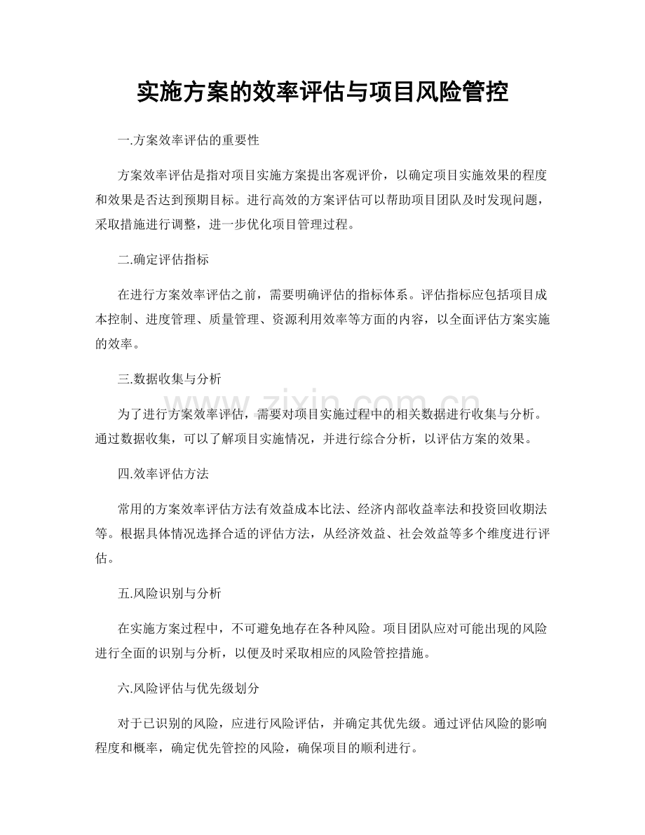 实施方案的效率评估与项目风险管控.docx_第1页