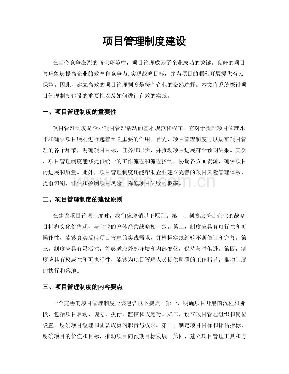 项目管理制度建设.docx_第1页