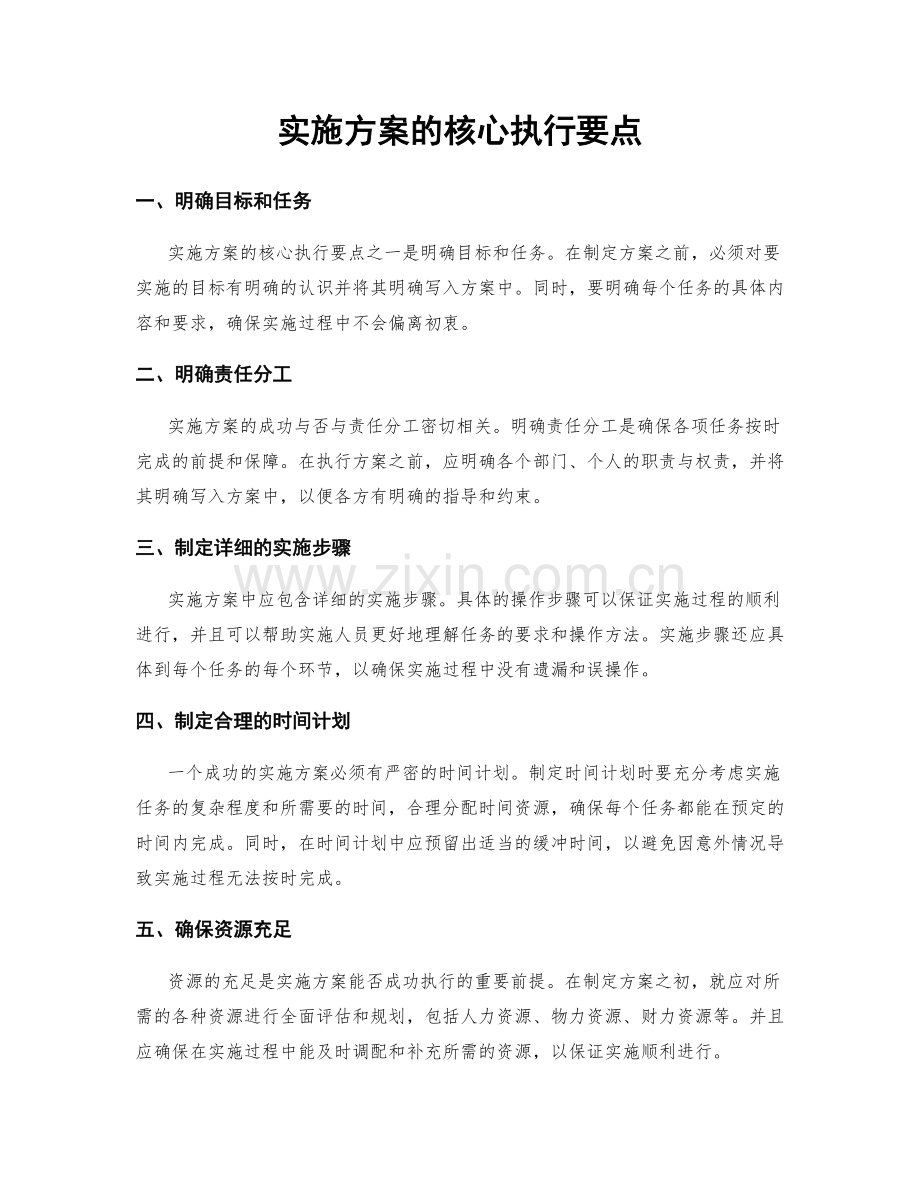 实施方案的核心执行要点.docx_第1页