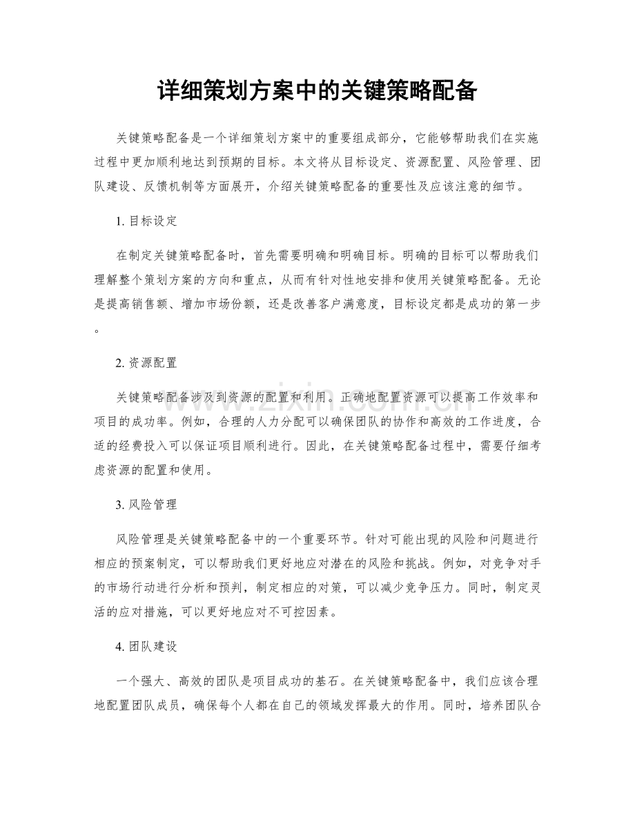 详细策划方案中的关键策略配备.docx_第1页