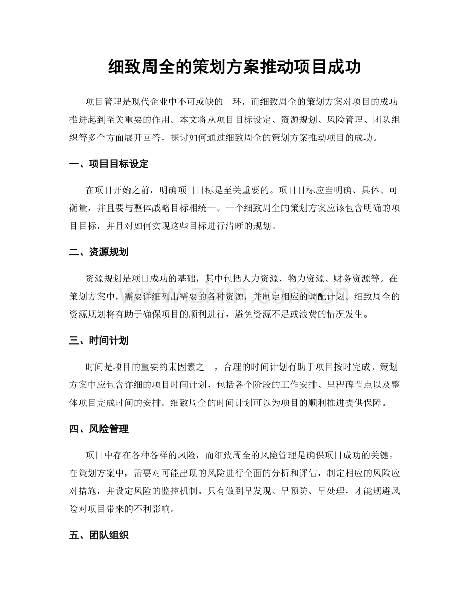 细致周全的策划方案推动项目成功.docx_第1页