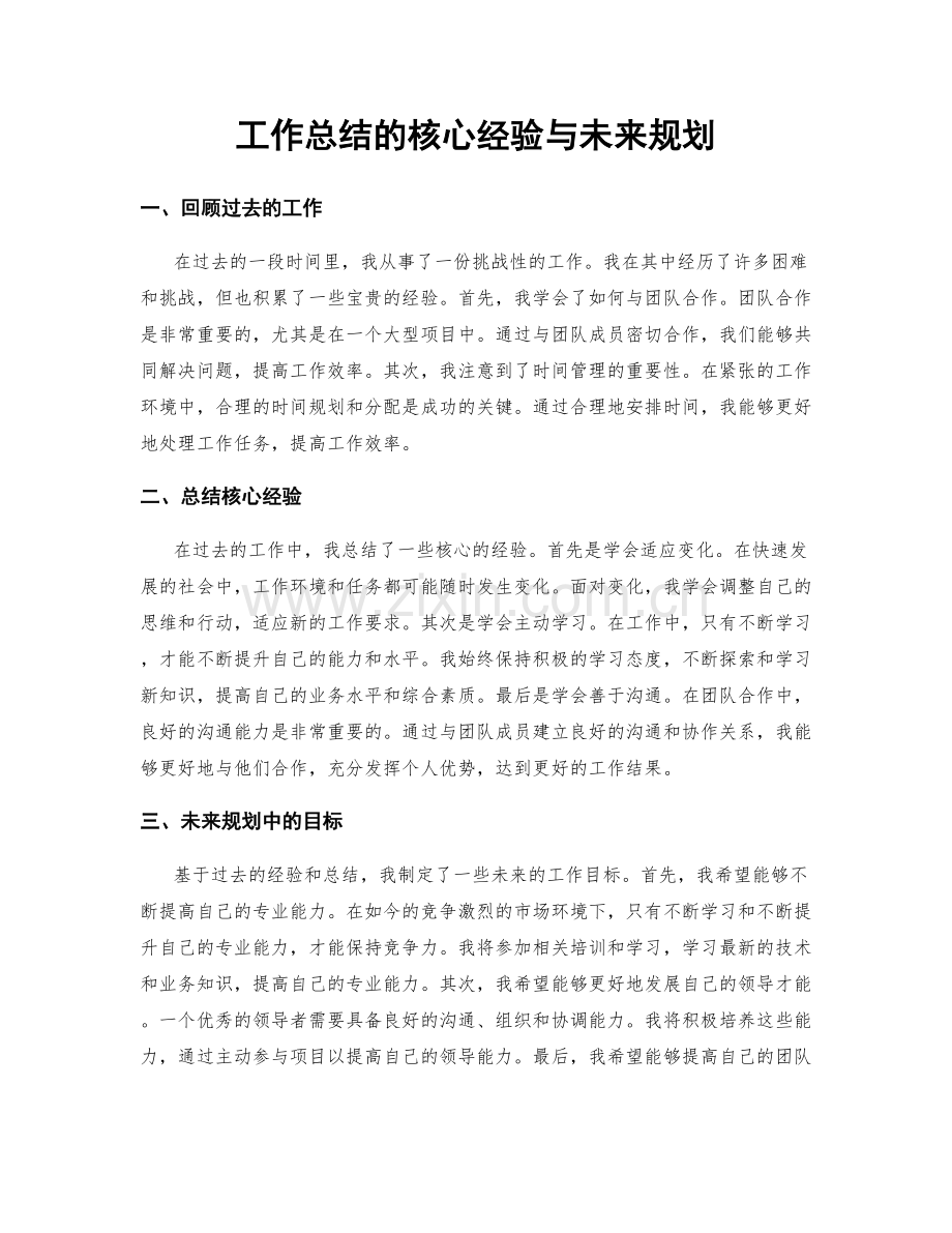 工作总结的核心经验与未来规划.docx_第1页