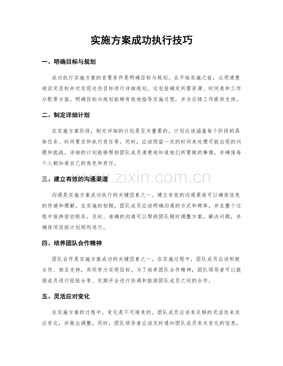 实施方案成功执行技巧.docx_第1页