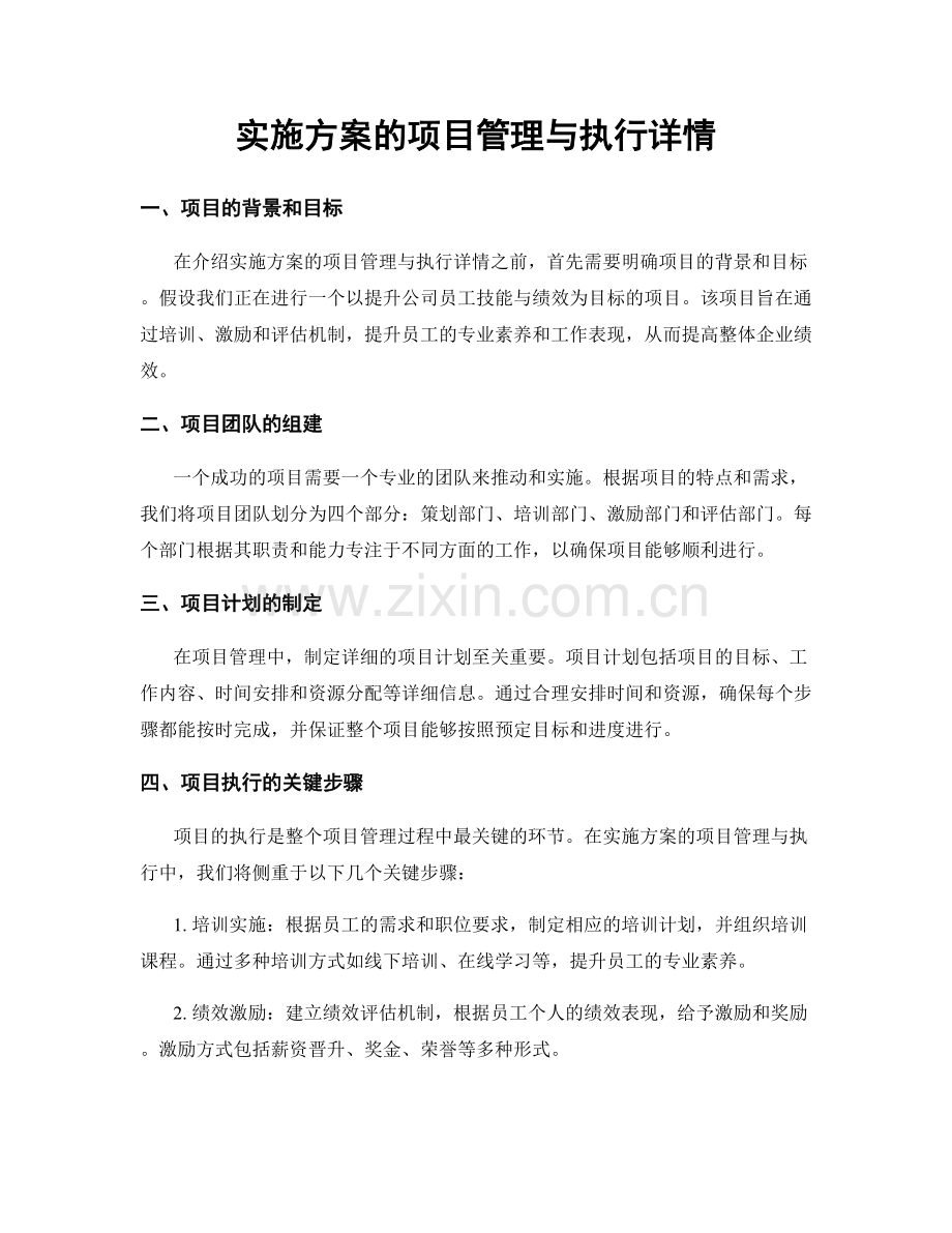 实施方案的项目管理与执行详情.docx_第1页