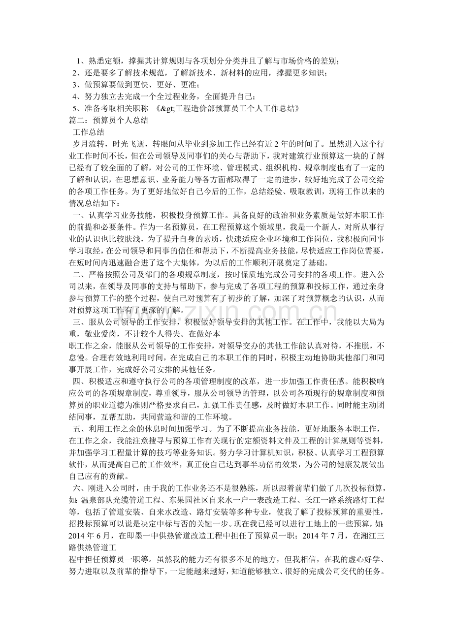 工程预算员个人工作总结试卷教案.doc_第2页