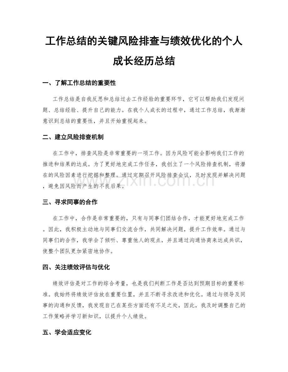 工作总结的关键风险排查与绩效优化的个人成长经历总结.docx_第1页