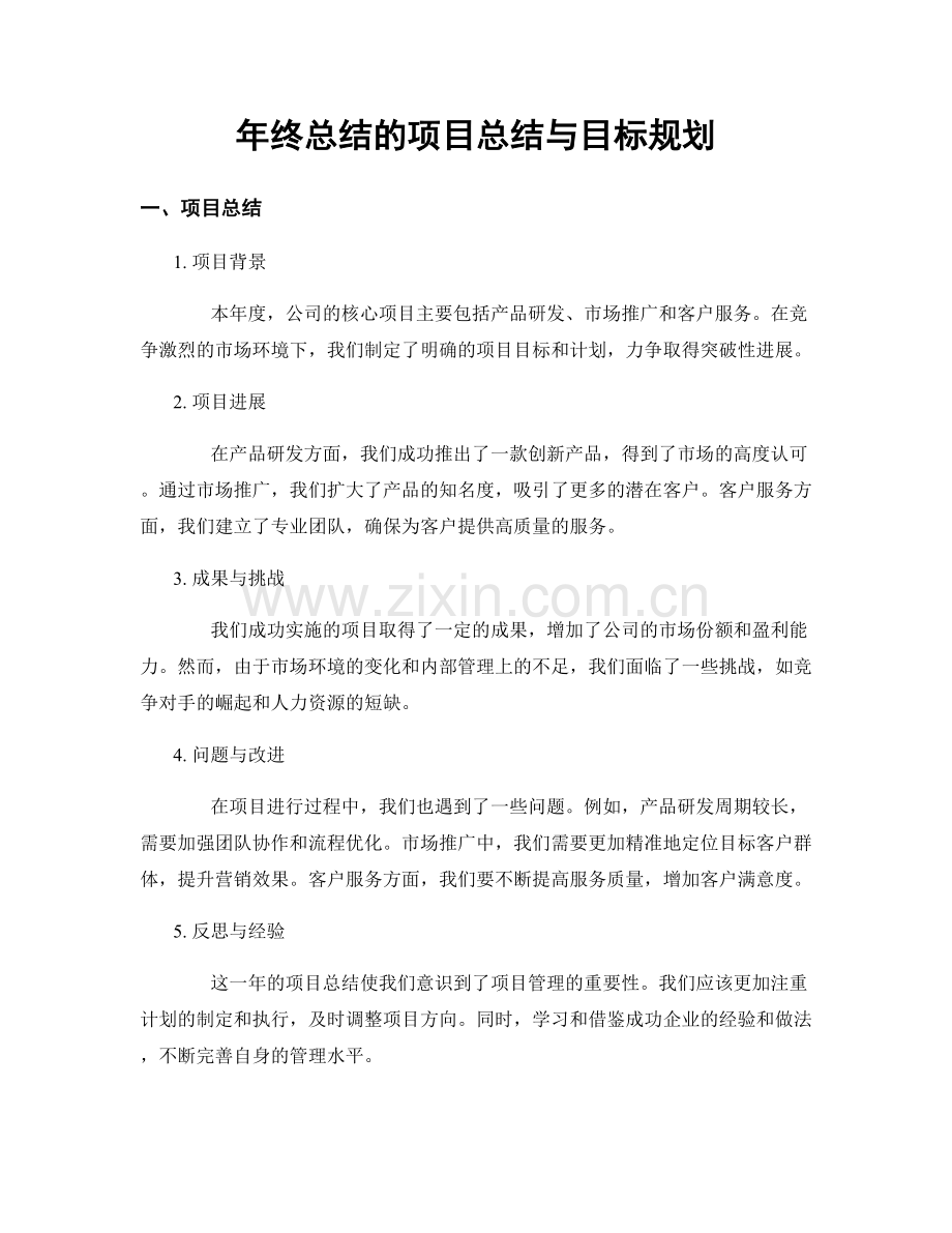 年终总结的项目总结与目标规划.docx_第1页