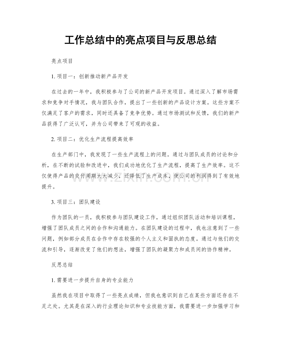 工作总结中的亮点项目与反思总结.docx_第1页