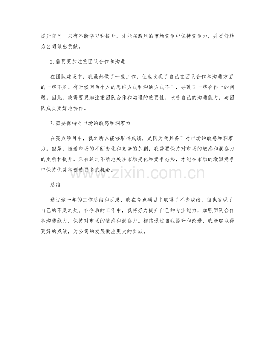 工作总结中的亮点项目与反思总结.docx_第2页