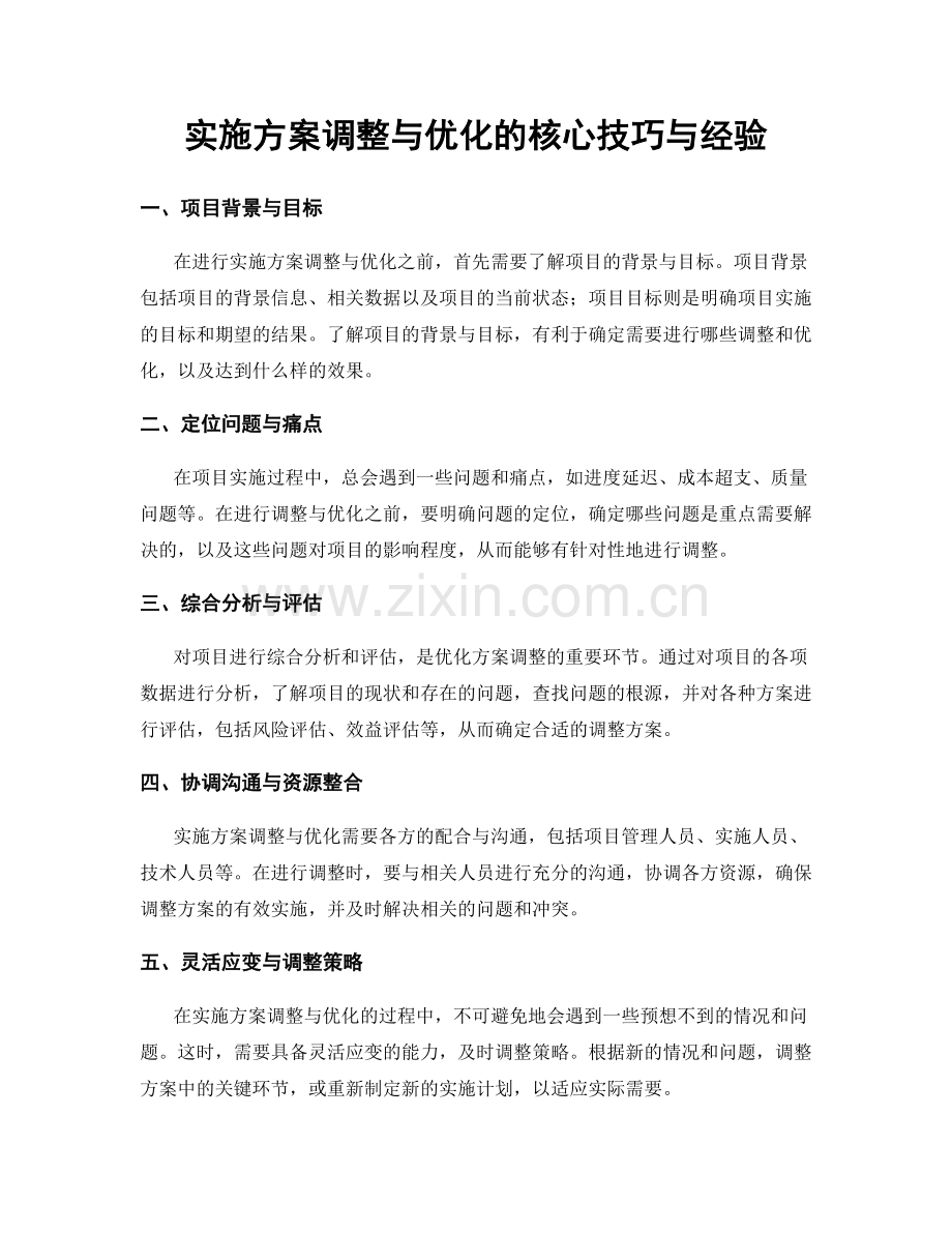 实施方案调整与优化的核心技巧与经验.docx_第1页