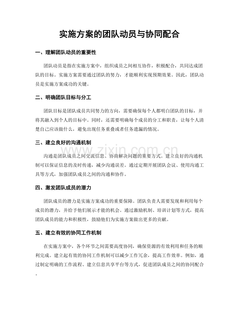 实施方案的团队动员与协同配合.docx_第1页