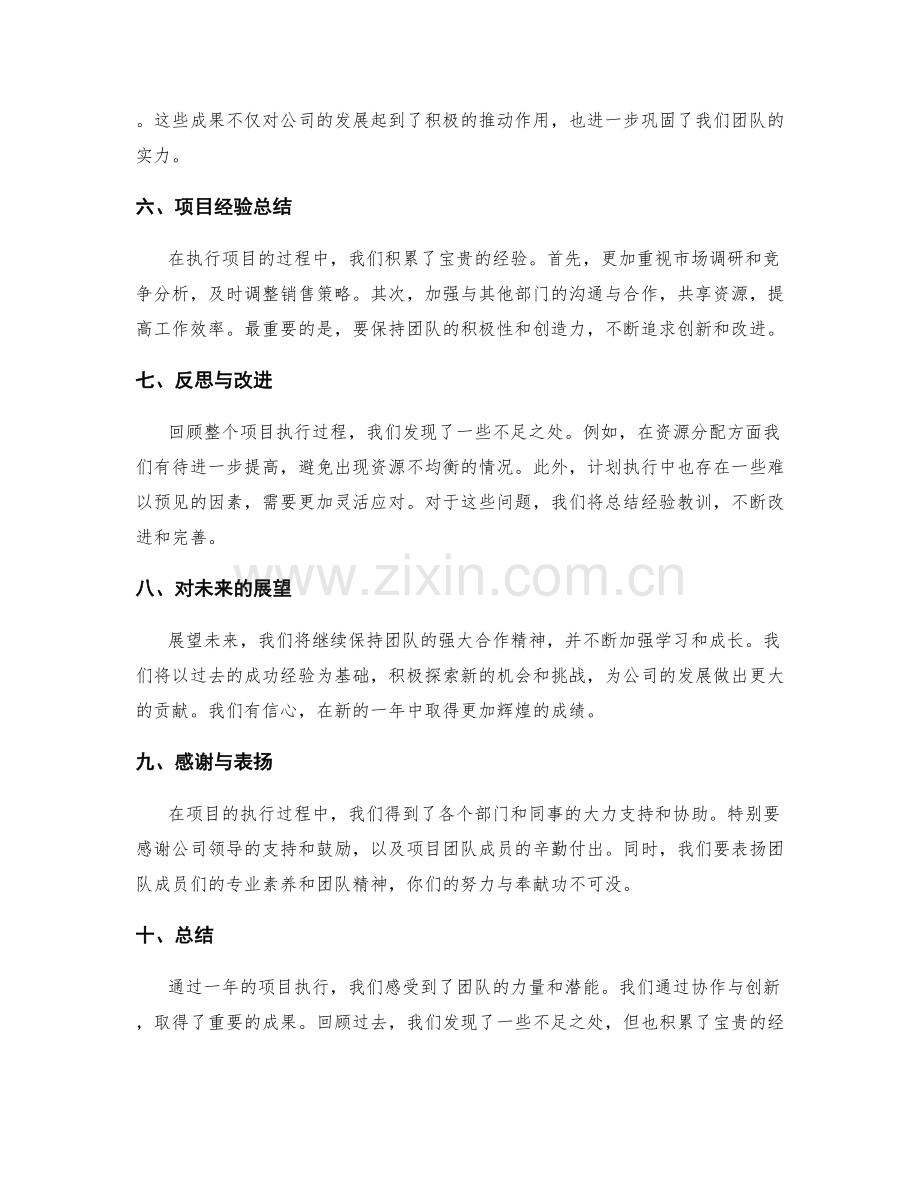 项目执行年终总结.docx_第2页