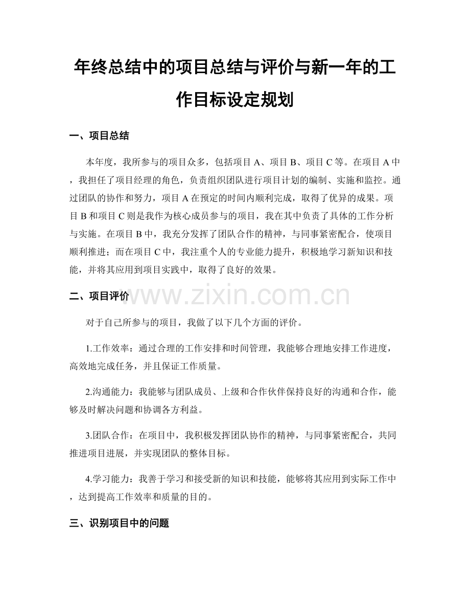 年终总结中的项目总结与评价与新一年的工作目标设定规划.docx_第1页