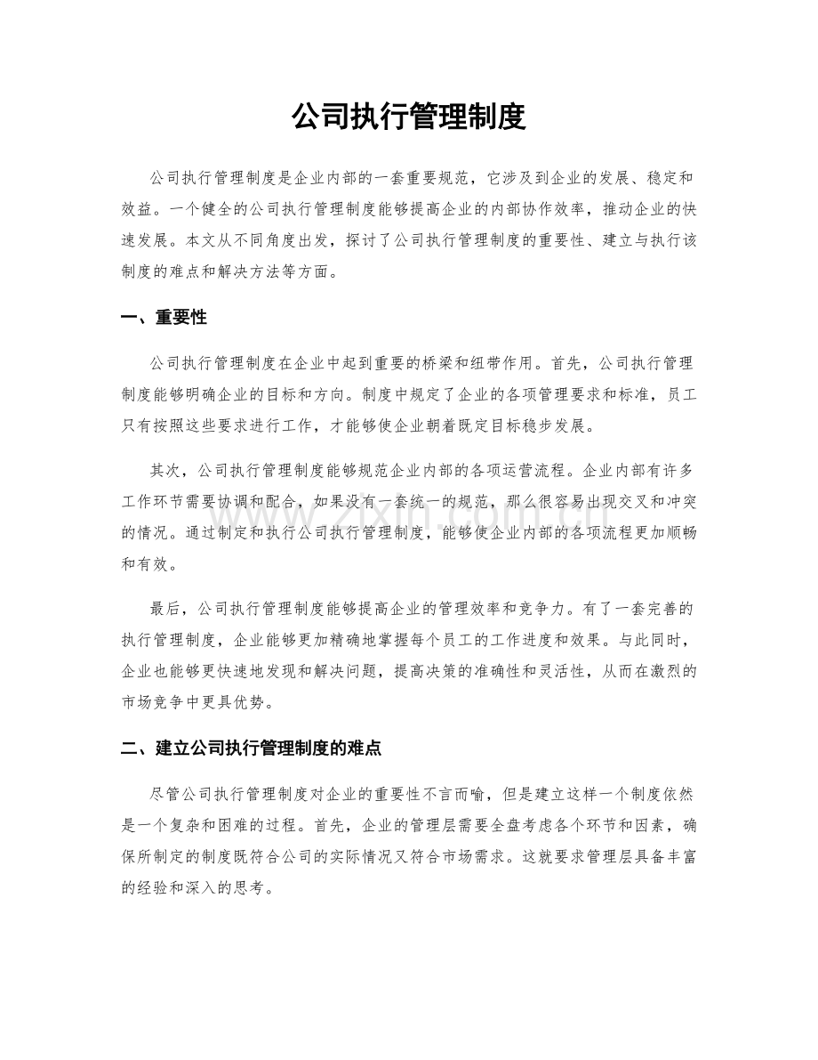 公司执行管理制度.docx_第1页