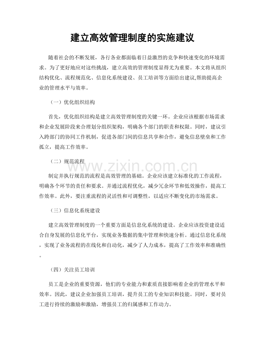 建立高效管理制度的实施建议.docx_第1页