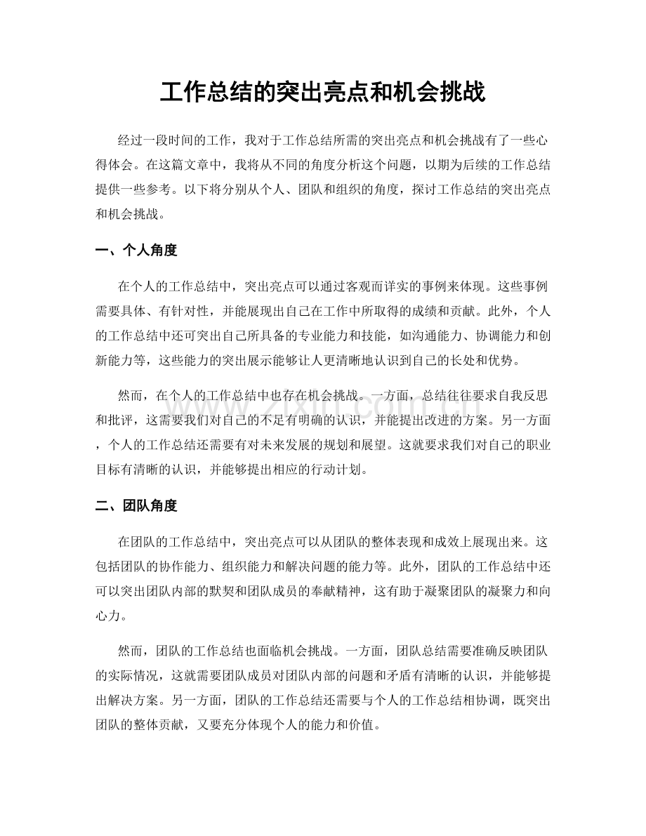 工作总结的突出亮点和机会挑战.docx_第1页