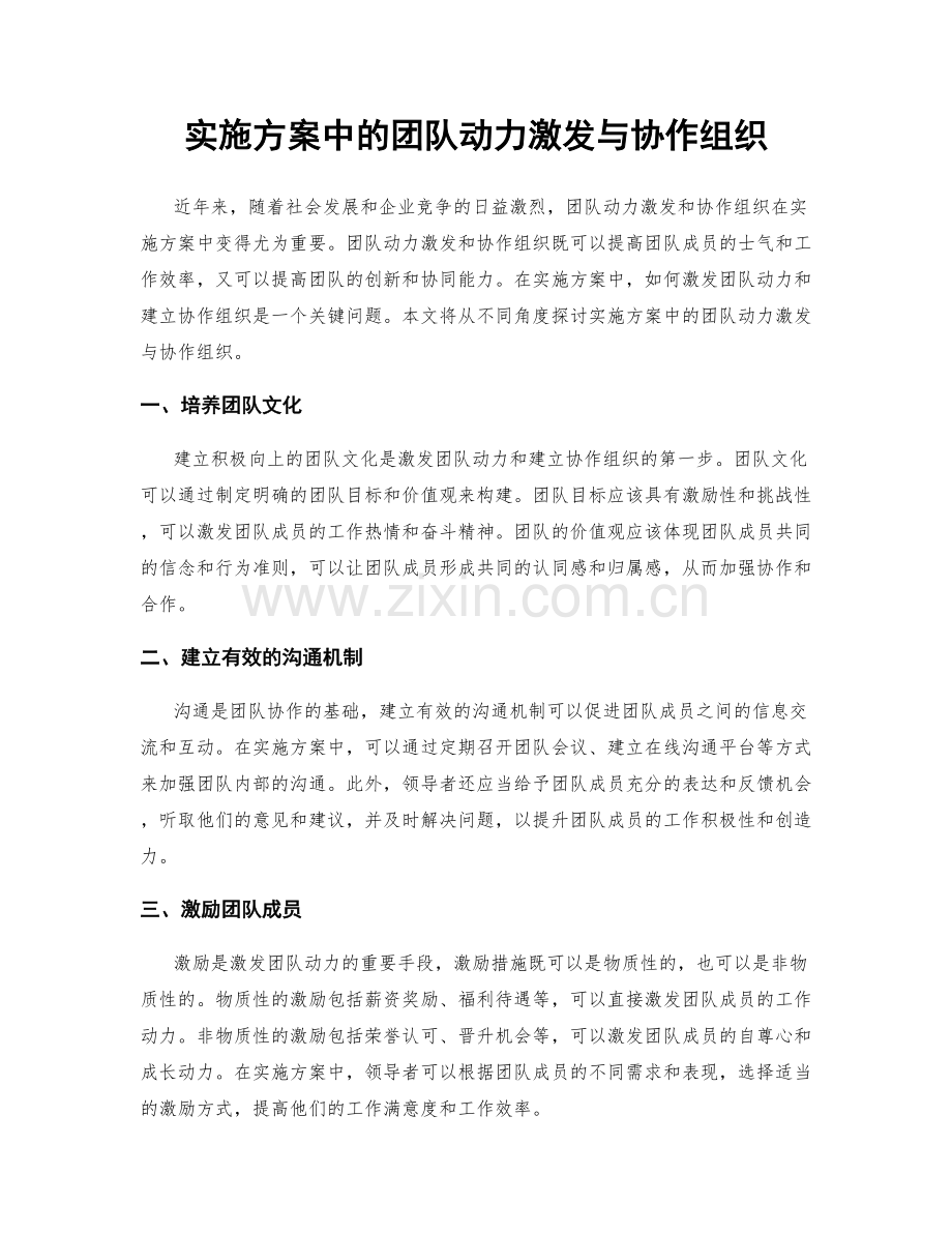 实施方案中的团队动力激发与协作组织.docx_第1页